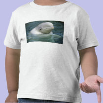 Beluga Whale, Delphinapterus leucas), Captive t-shirts