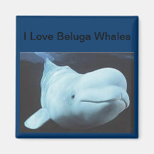 Beluga Whale Magnet