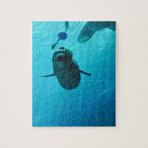 Beluga Whales Puzzles