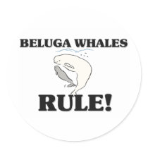 BELUGA WHALES Rule! Round Stickers
