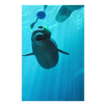 Beluga Whales Stationery Paper