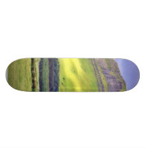 Benbulbin On A Cloudy Day Skate Board Decks