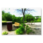 Bench Photograph
