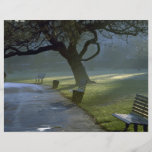 Bench, tree, Regents Park, London, England Flyers