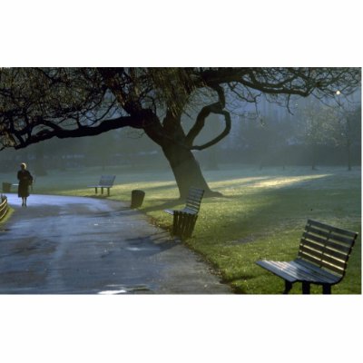 Bench, tree, Regents Park, London, England Photo Cutouts by beautifulclicks