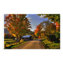 Bend in the Bog Road, Campton, NH Art Photo