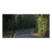 Bend in the Road Card Photo Greeting Card