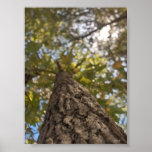 bending Tree Print