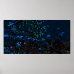 Beneath The Horizon  - Extreme posters