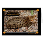 Bengal Cat 002 Cards