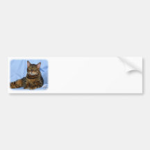 Bengal Cat 9W052D-018 Bumper Stickers
