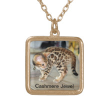 Bengal Cat Kitten photo locket necklace
