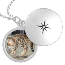 Bengal Cat Kitten photo locket necklace round