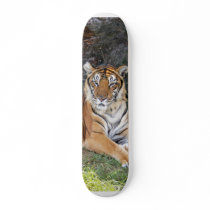 Bengal Tiger 002 Skateboard