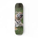 Bengal Tiger 006 Skateboard