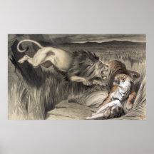 BENGAL TIGER ATTACKED BY BRITISH LION  1870 POSTER