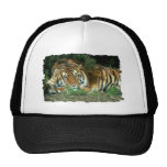 Bengal Tiger Baseball Hat