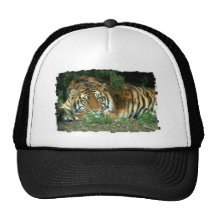 Bengal Tiger Baseball Hat