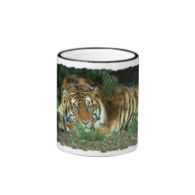 Bengal Tiger Coffee Mug