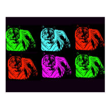 Bengal Tiger Collage Postcard