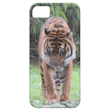 Bengal Tiger iPhone Case iPhone 5 Case