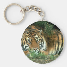 Bengal Tiger Keychain