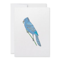 Benji Blue Jay Invites