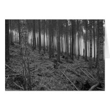 Benson Meadows Cards