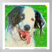Benson Print