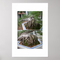 bent bonsai print