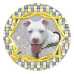 Bentley - Pitbull Round Sticker