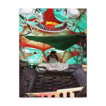 Benza | Sunset Stage @ Rainbow Serpent '09 Postcard