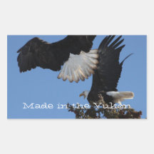 BEOAT Bald Eagles on a Treetop Sticker