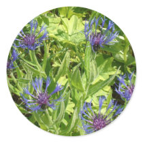 Bergblumen Stickers