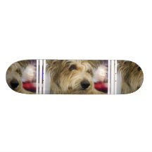 Berger Picard Dog Skateboard