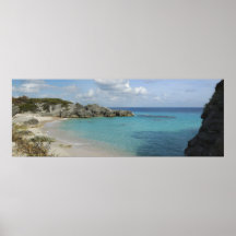 Bermuda Cove Posters