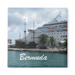 Bermuda magnets