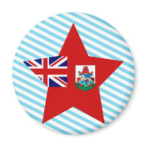 Bermuda Star magnets