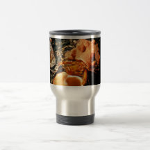Bernard l'ermite dans l'éponge de bernard l'ermite tasse