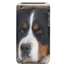 Berner Sennenhund iTouch Case iPod Touch Case-Mate Case