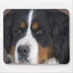 Berner Sennenhund Mouse Pad mousepads