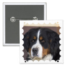 Berner Sennenhund Square Pin