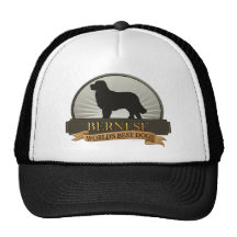 Bernese Casquettes