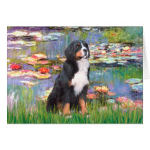 Bernese - Lilies 2 Greeting Card