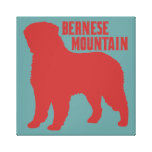 Bernese Mountain Canvas Print