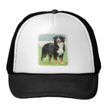 Bernese Mountain Dog 9Y066D-133 Trucker Hat