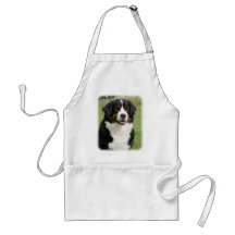 Bernese Mountain Dog 9Y236D-106 Apron