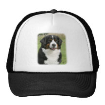 Bernese Mountain Dog 9Y236D-106 Mesh Hats