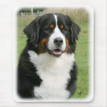 Bernese Mountain Dog 9Y236D-106 Mouse Mats