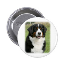 Bernese Mountain Dog 9Y236D-106 Pinback Buttons
